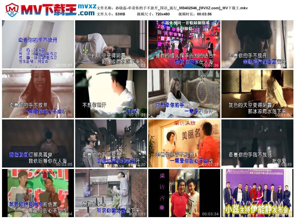 孙晓磊-牵着你的手不放开_国语_流行_MB402546